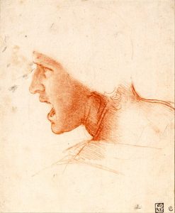 Leonardo-Drawings-3-