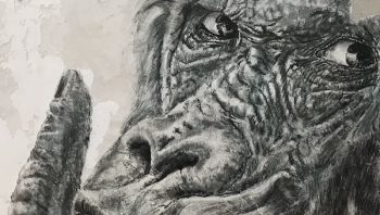 Pro Biennale: Tiziano’s Animal Series