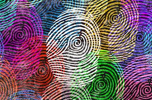 MUSM 420/FIN 210 – Art in a Legal World