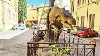 Student Smart Guide to Natural History Museums in Florence