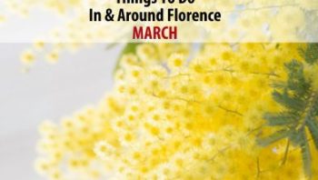 March 2025: Things to Do In & Around Florence