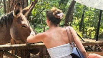 Living the Mediterranean Way: UConn’s Academic Adventure in Florence