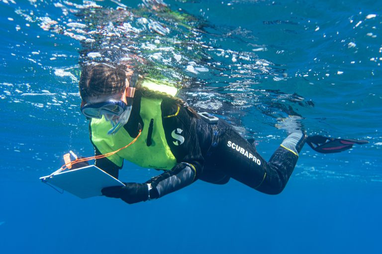 Student Diving at Elba Island